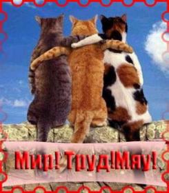Мир, труд, май.jpeg