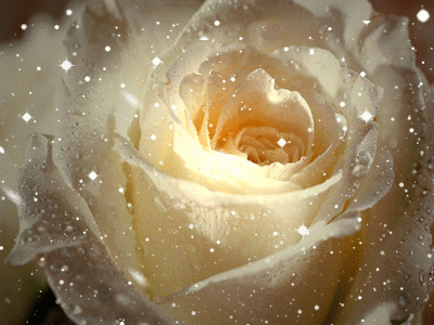 f5b80bc4df8aae91f100d2fe4c54e4dd.gif